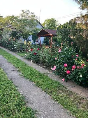 Resort Faház